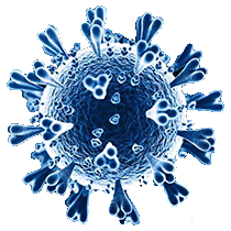 Grover Does Behavior Mediate The Effect Of Weather On SARS CoV 2 Grover Does Behavior Mediate The Effect Of Weather On SARS CoV 2