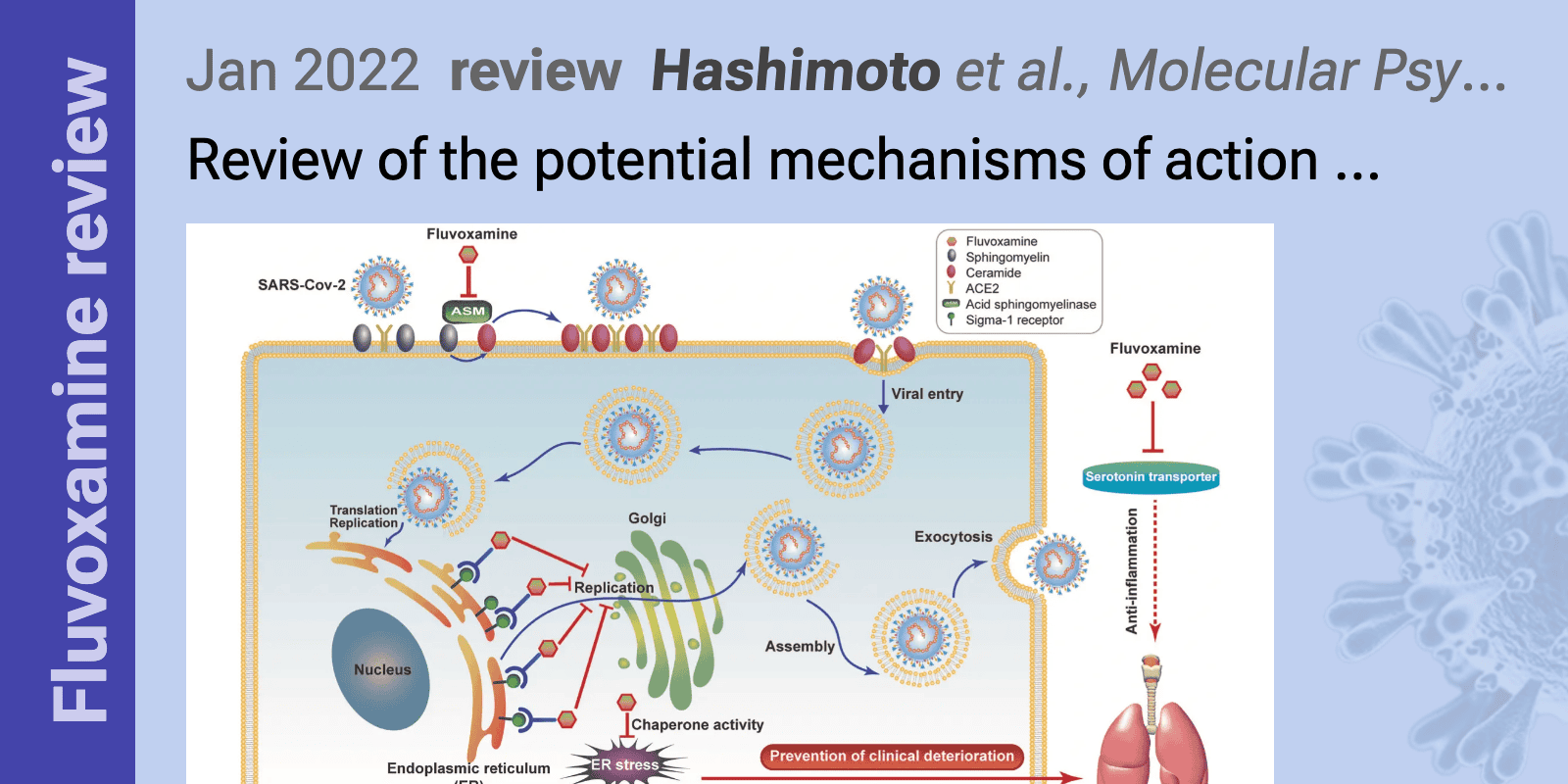 Hashimoto Mechanisms Of Action Of Fluvoxamine For COVID 19 A